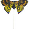 Broche mariposa