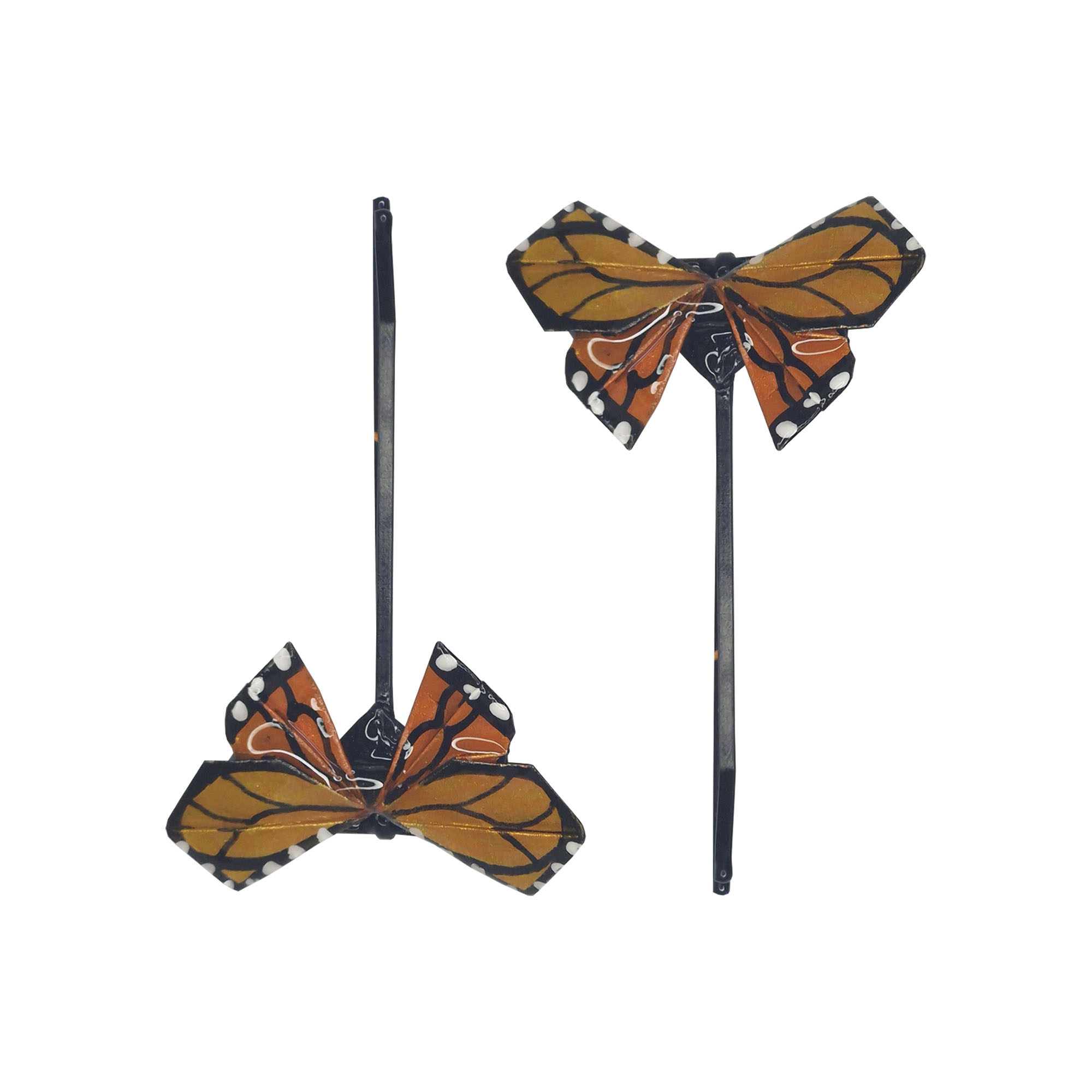 Pinzas mariposa monarca JPG